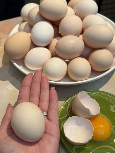 продаю яйцо: Куриные яйца домашние - Категория: пищевой продукт, универсальный для — 2