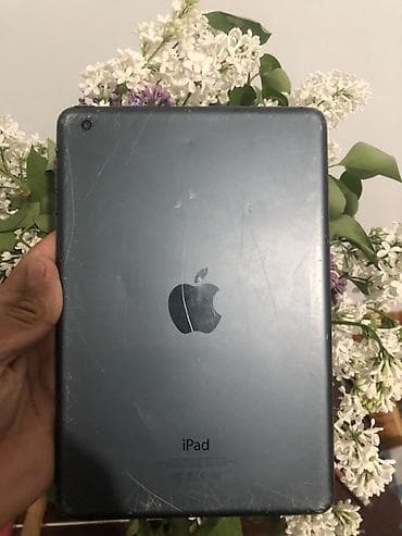 32 дюйм: Электрондук китеп, Apple, Колдонулган, 7" - 8", Wi-Fi, түсү - Боз — 2