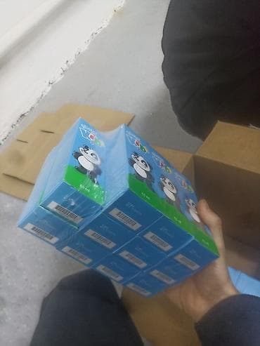 продаю щенков: Морская свинка, окрас черно-белый (пегий). Короткая гладкая шерсть — 2