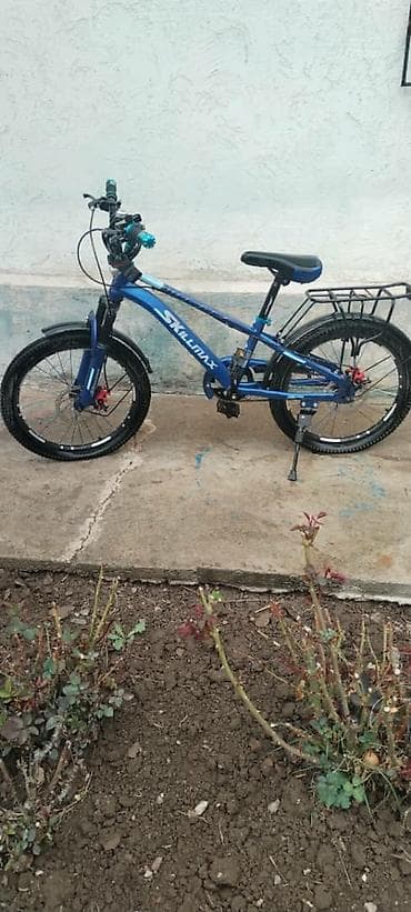 sador diska: Детский велосипед, 2-колесный, 9 - 13 лет, Для мальчика — 2