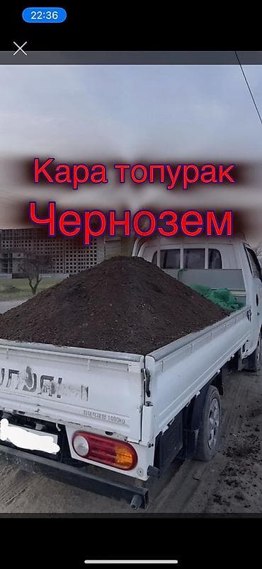 Үй жана бакча: Портер — 1