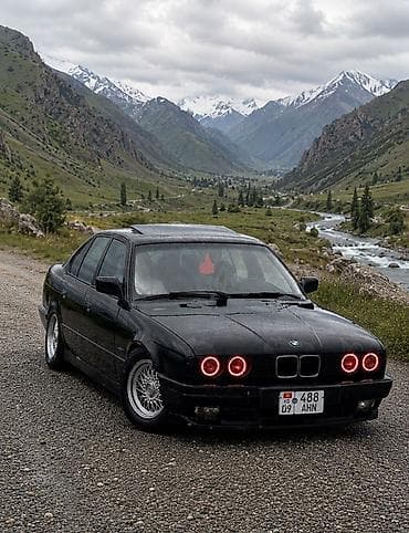 моторлор: BMW 525: 1991 г., 2.5 л, Кол менен иштөөчү, Бензин, Седан — 1