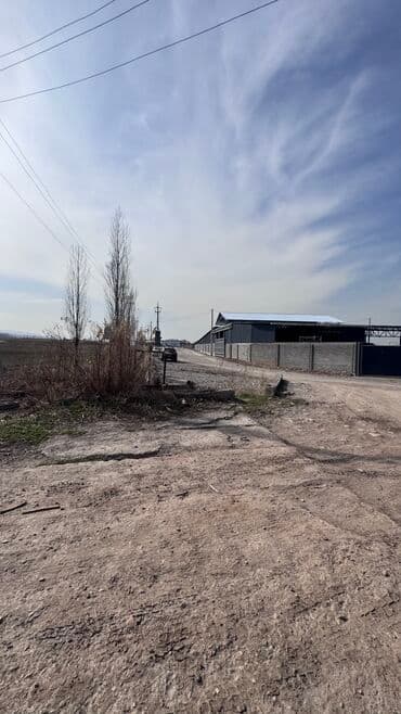 ишу земельный дом кок жар: 385 соток, Для сельского хозяйства, Договор дарения — 10