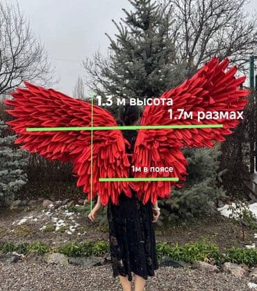 комнатные цветы купить бишкек: Карнавальные костюмы — 9