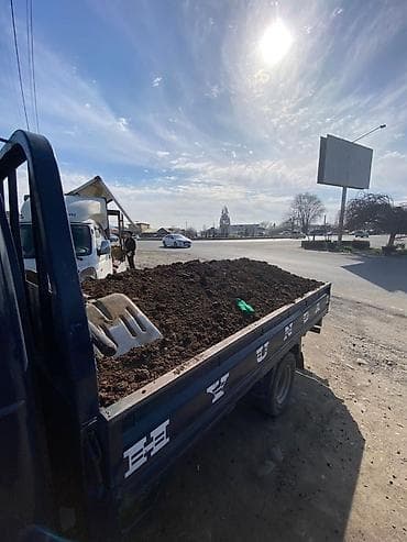 Уголь: Бесплатная доставка, Портер — 1