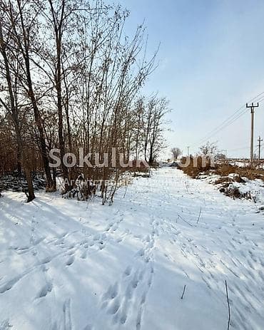 кытай менен бизнес: 8 соток — 1