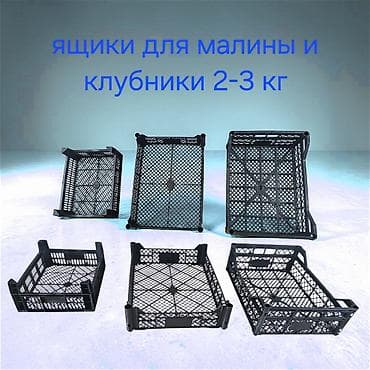 Пластиковый Ящик