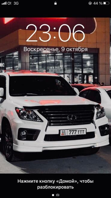 купить породистую кошку: Куплю | Лошади, кони | Любое состояние — 1