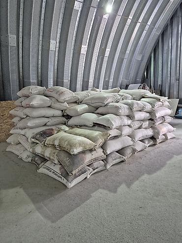 сладкая кукуруза: Продаю кукурузу оптом и в розницу россыпю по 23 сом а мешках 24 сом — 4