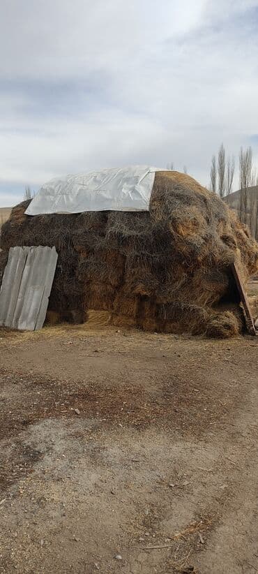 седло для осла: Сено в тюках для кормления скота. - Заготовка из горных трав: - — 2