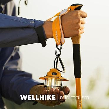 Треккинговые палки WELLHIKE (пара) - Материал секций: авиационный — 4