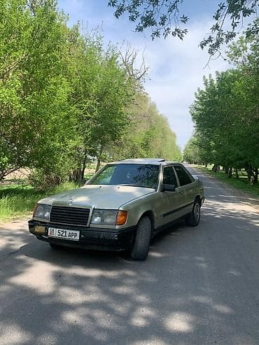 Mercedes-Benz W124: 1989 г., Кол менен иштөөчү, Седан — 5