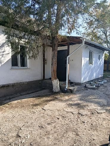 дома сосновка: Продаю дом в селе. Новониколаевка. Жайылкий район, ориентир Сосновский — 4