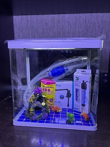 бу аква: Продаю аквариум новый заводской есть фильтр, светильник, сифон для — 1