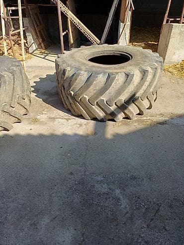 Продаются сельскохозяйственные шины для самоточки at lalafo.kg Продаются сельскохозяйственные шины для самоточки