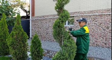 сколько стоит обучение на маникюр: Сделали ландшафтный дизайн? Нужно поддерживать его в идеальном — 9