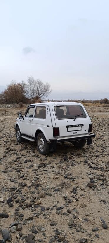 фаркоп на жигули: ВАЗ (ЛАДА) 4x4 Нива: 1997 г., 1.7 л, Механика, Бензин, Внедорожник — 3