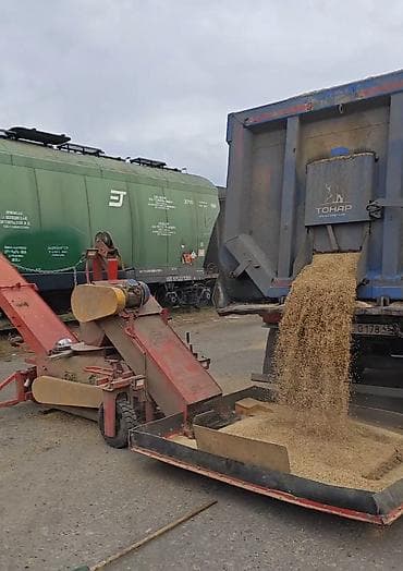 килограмм пшеницы цена: Привезу из РФ шеницу 3 класс : кл 27 ЧП 250+(24000руб за тонну), кл — 3