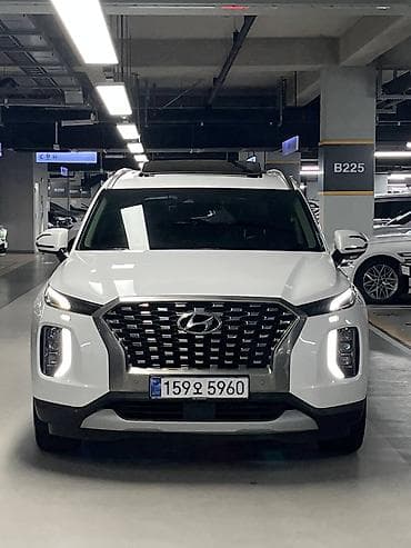 shadow line: Hyundai Palisade: 2021 г., Кроссовер — 3