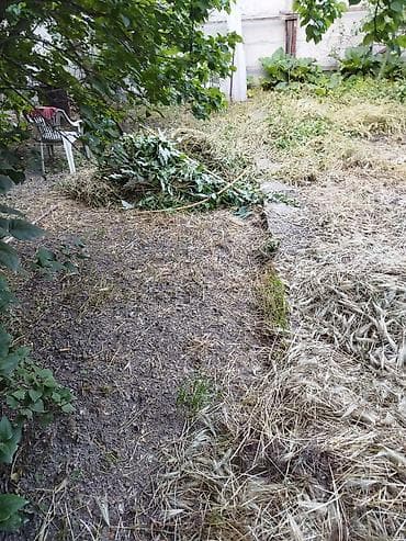 трава заберу бесплатно: Безплатно трава для животных,приблизительно около 30- 40 мешков — 2