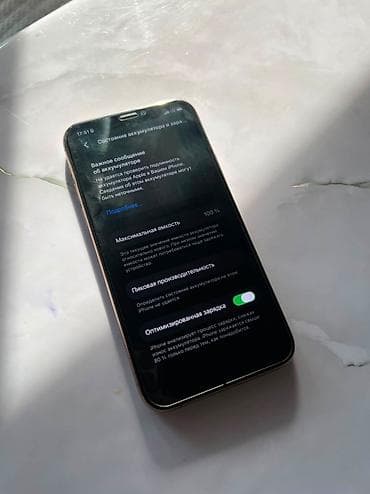pro: IPhone 11 Pro, Б/у, 256 ГБ, Золотой, Защитное стекло, Чехол, 100 % — 9