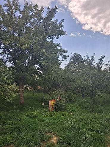 Дома: 2 дома на участке. Есть возможность обмена на другую недвижимость — 3