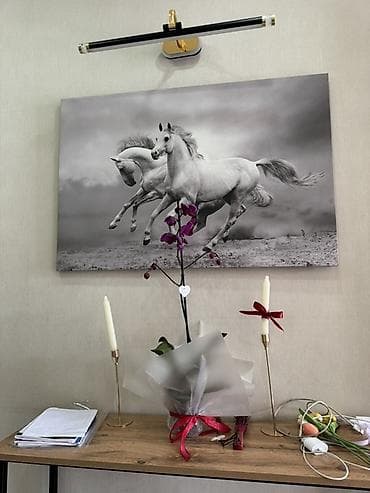 арт картины в бишкеке: Настенные постеры с изображением бегущих лошадей Картины по 500сом — 2