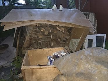 заборный лист: Дрова Самовывоз — 2