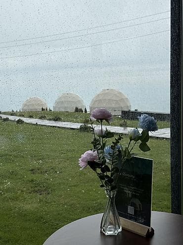 посудомойщицы: Требуется Посудомойщик, Оплата: Ежемесячно — 2