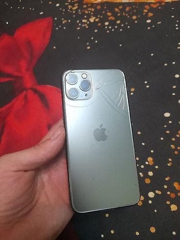 epson l1300: IPhone 11 Pro, Серебристый — 2