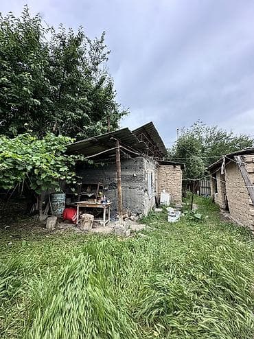 продажа дом дордой: Сдаю дом . Село сокулук Свет вода есть туалет уличный Кухня — 6