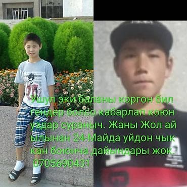 Скупка авто: Daewoo : 2007 г., 0.8 л, Механика, Бензин — 5