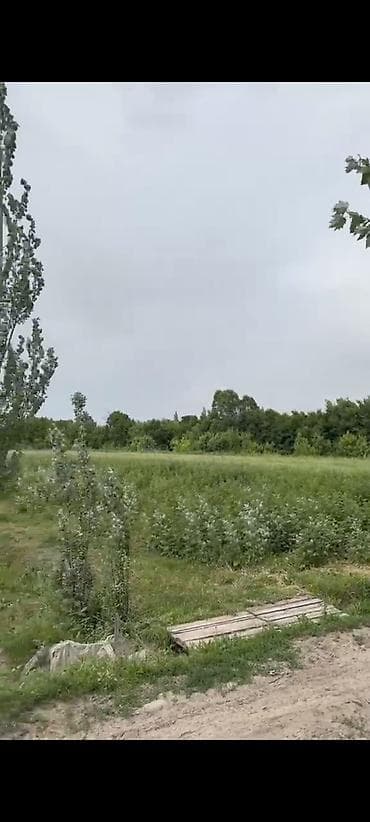 джал продажа: 1 соток, Для сельского хозяйства — 3