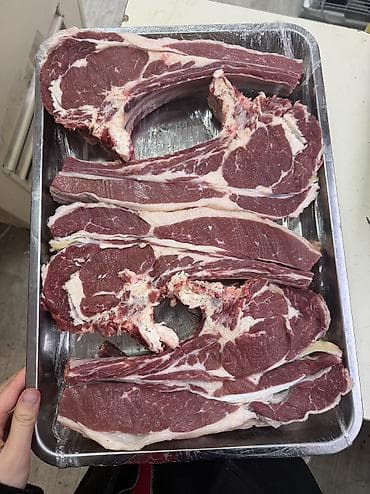 все для рыбы: Голень, Самовывоз, Бесплатная доставка — 1