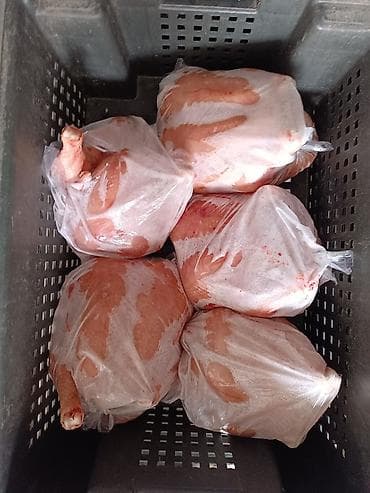 Выпечка, хлебобулочные изделия: 🔥 Продаю бройлерных кур (замороженные тушки) 🔥 💰 Цена: 265 сом/кг — 4