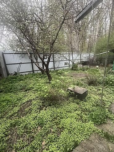 Продается жилой дом в пяти минутах езды от центра города. Большой