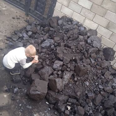 купить сирень в бишкеке: Coal briquettes — 6