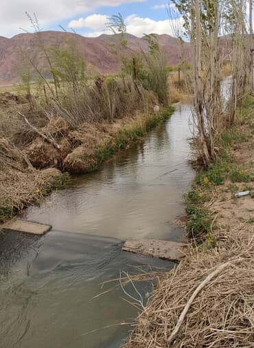ак босого дом: 100 соток, Бизнес үчүн, Сатып алуу-сатуу келишими — 1