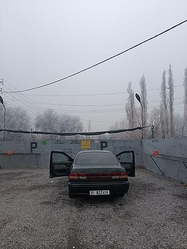 daf 480: Nissan maxima a32 1995 года,2 куб, механика, не авария, заехал в — 1