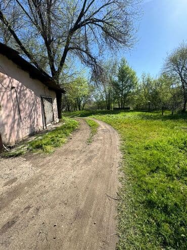 сколько стоит аренда земли сельхозназначения: 40 соток, Для сельского хозяйства, Договор купли-продажи, Красная книга — 8