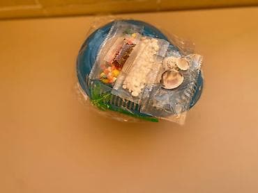 Зоотовары: Маленькая водная черепашка отличное решение для подарка аксессуары  — 1