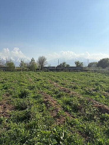 20 соток: 15 соток, Для строительства, Красная книга, Договор купли-продажи — 2