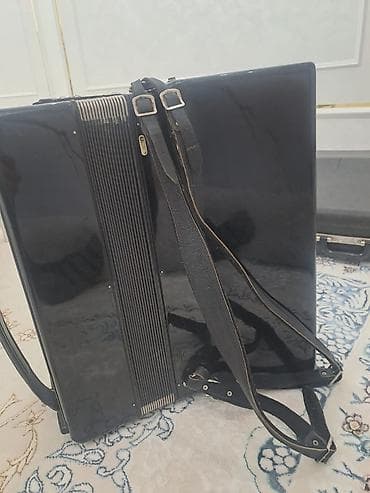 Скрипки: Аккордеон өтө жакшы абалда — 1