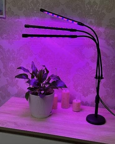 adapter: Фитолампа на подставке для комнатных растений с таймером и гибкими — 1