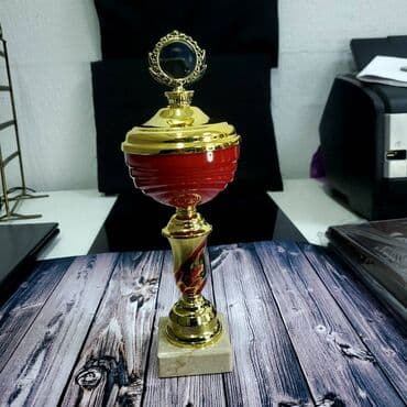 продаю медали: Кубок с гравировкой, любой логотип и любой текст входит в стоимость — 7