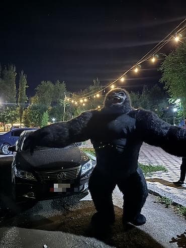 Киреге берилүүчү кийимдер: Чоң куурчак, Жаныбар, Маймыл — 1
