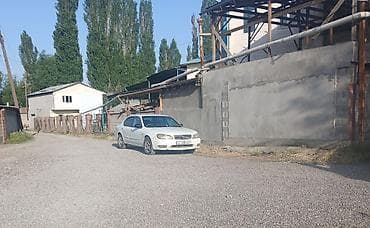 авта: Nissan Cefiro: 1999 г., 2 л, Автомат, Бензин, Седан — 1
