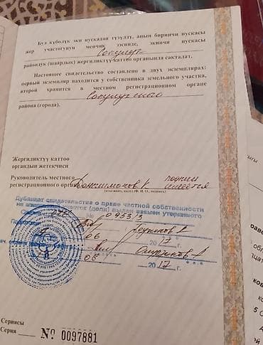 Недвижимость: 3000 соток, Договор купли-продажи, Договор долевого участия — 4