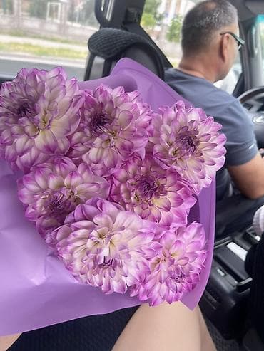 огненный шар: Букет из хризантем (или георгин) в лиловой упаковке - Состав: 7пышных — 2