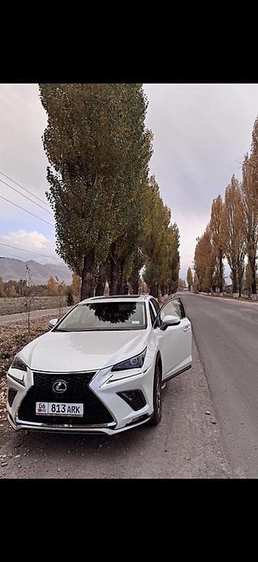 byd seal 06: Lexus NX: 2019 г., 0.2 л, Автомат, Бензин, Кроссовер — 1